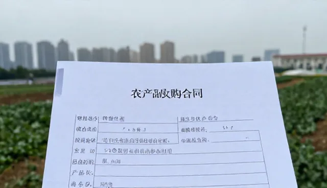 农业咨询中维护策略的适用条件有哪些疑问？